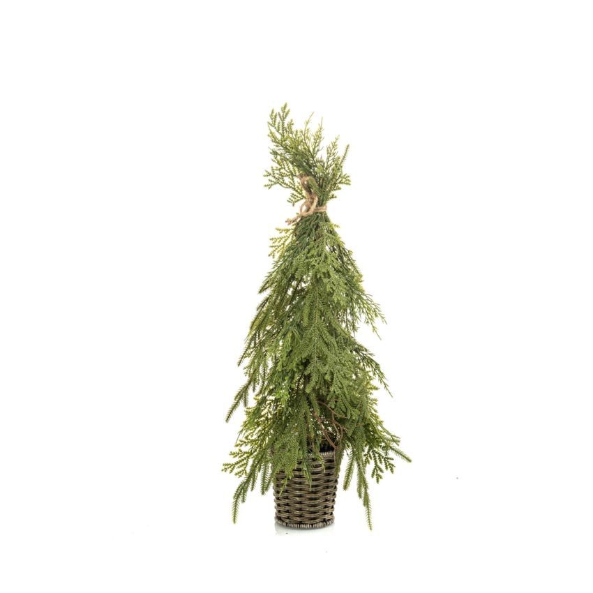 Cedar mix tree in pot 65cm