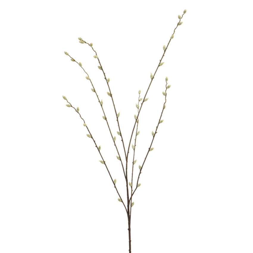 Salix spray cream 110cm