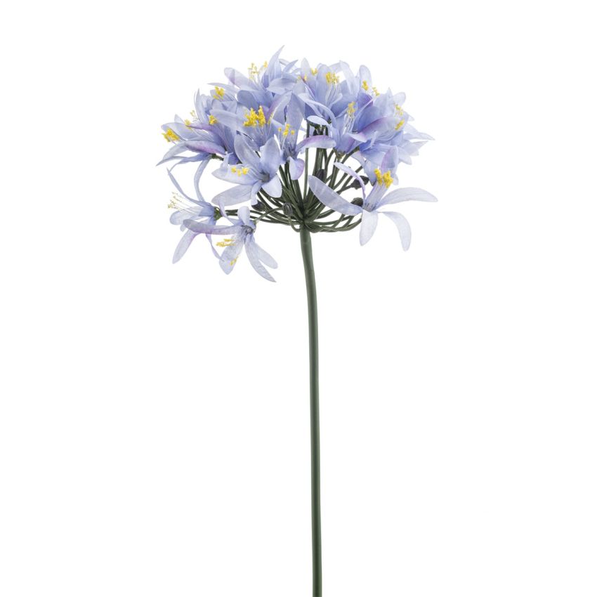 Agapanthus spray blue 80cm