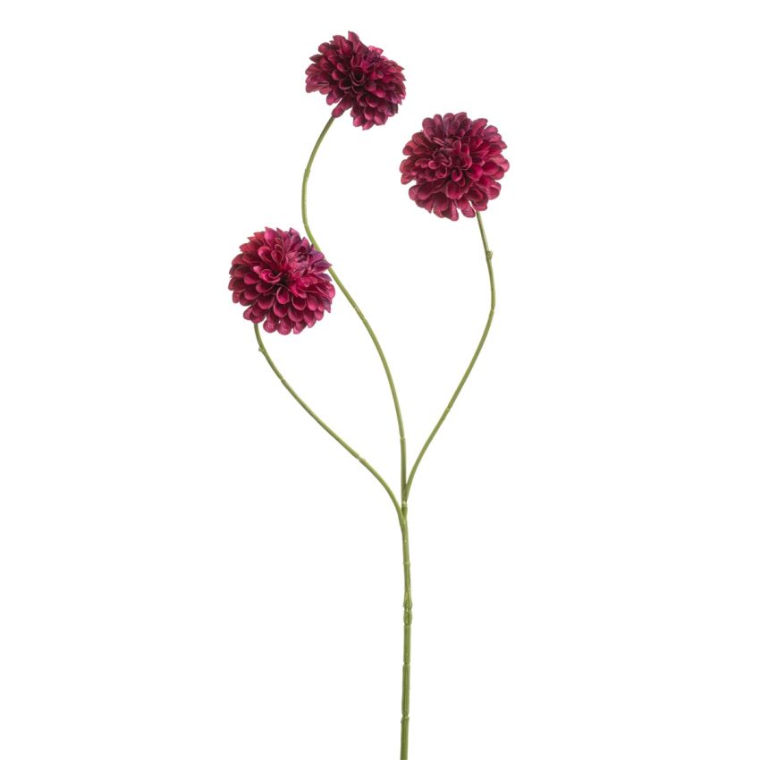 Dahlia pompon mini spray x3 beauty 68cm