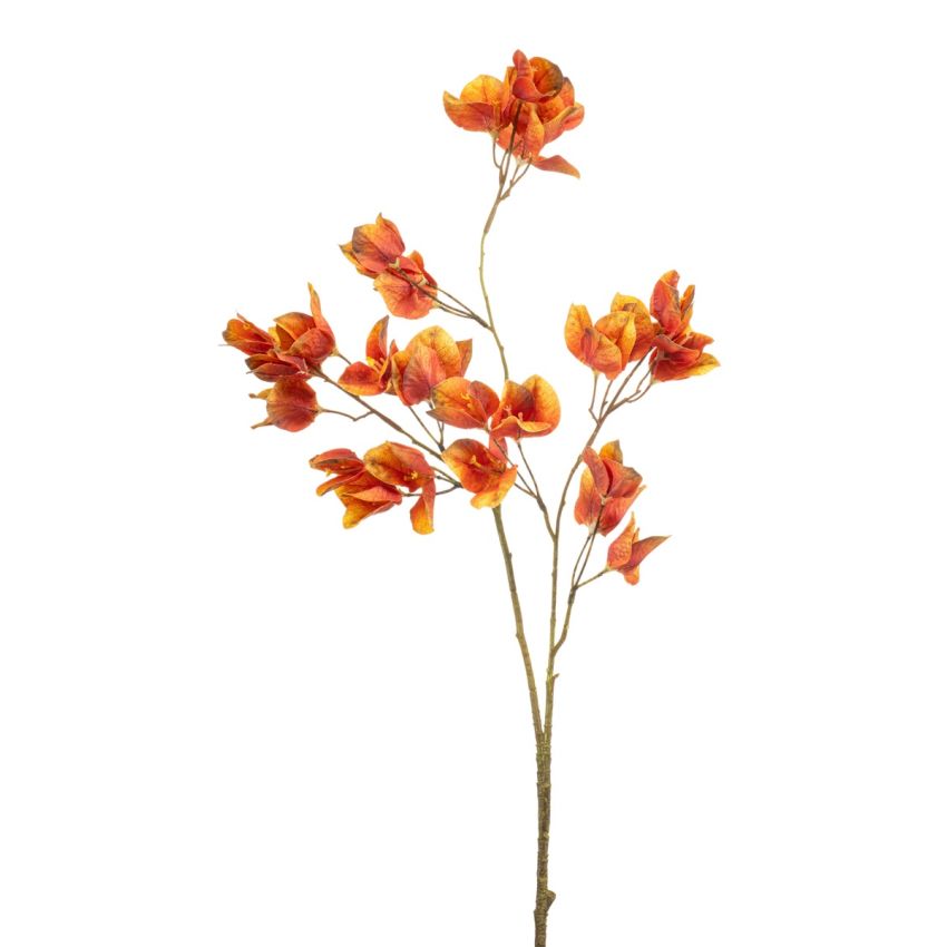 Bougainvillea spray orange 75cm