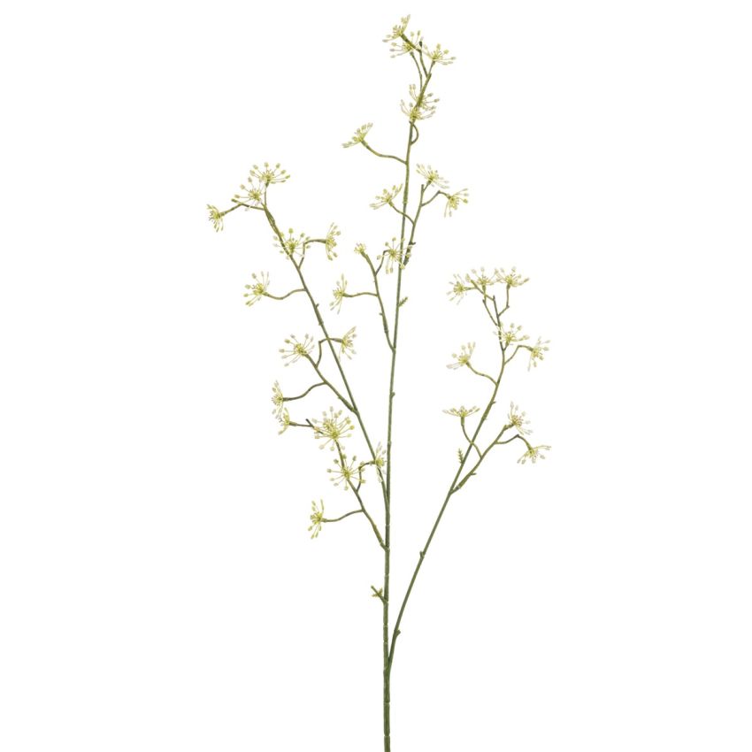 Thapsia spray lt green 88cm