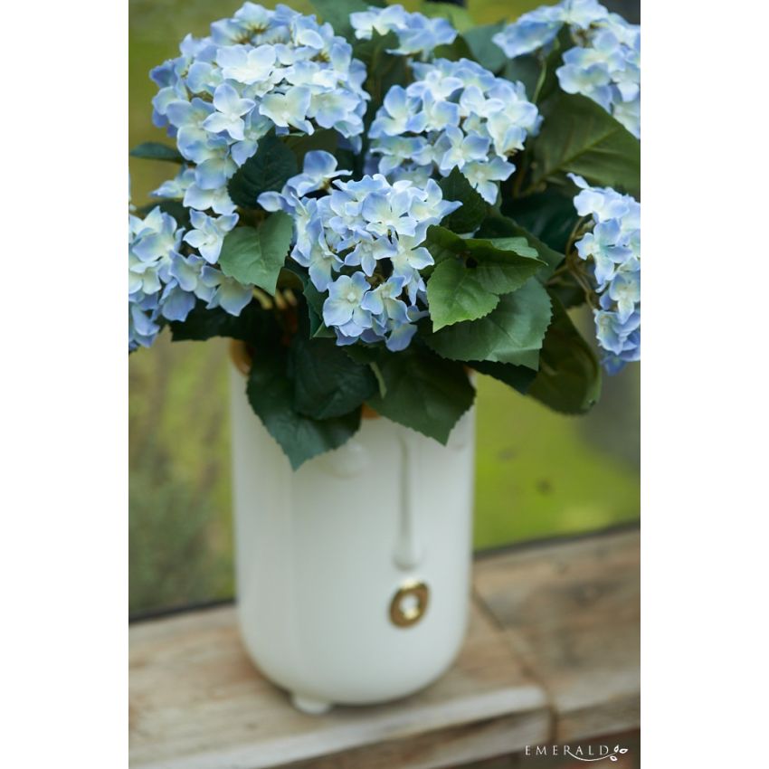 Hydrangea bush lt blue 40cm in black pot