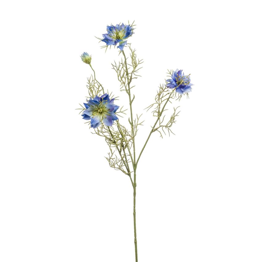 Nigella spray blue 73 cm