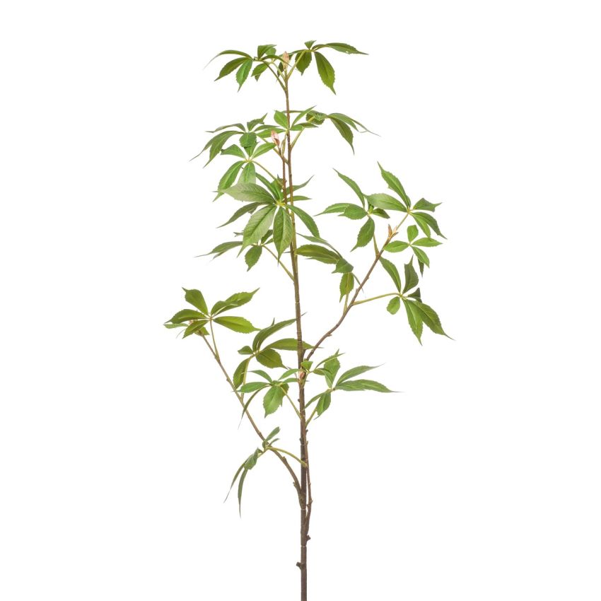 Hennep spray green 105cm