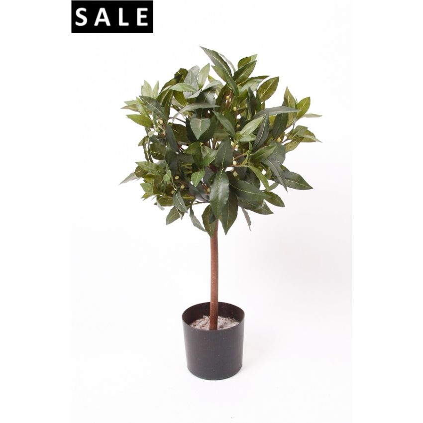 Laurel ball mini 60cm/259lvs