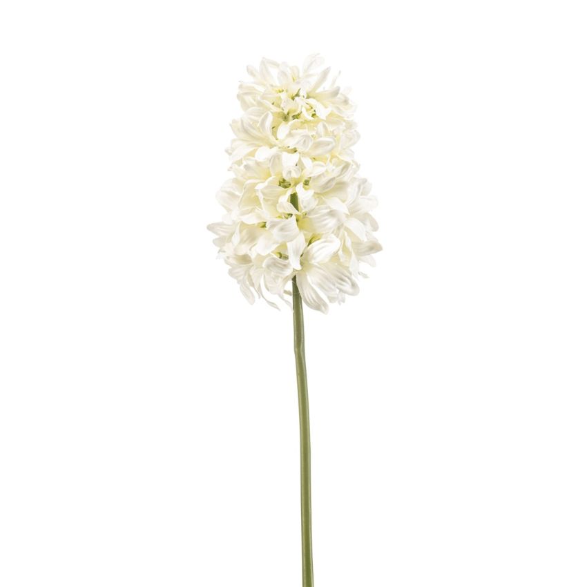 Hyacinthus spray cream 48cm