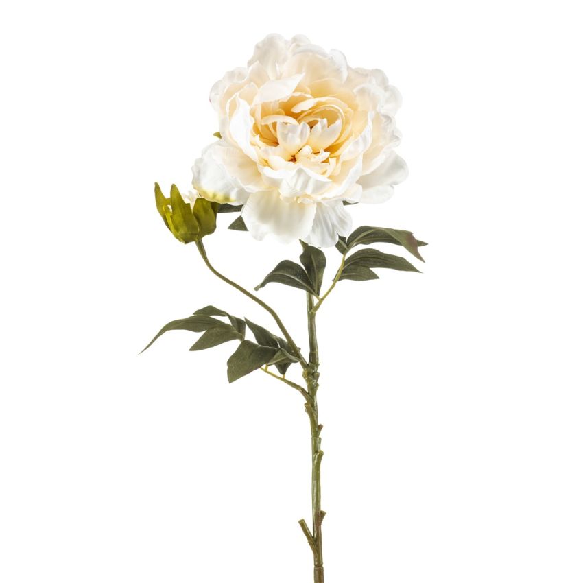 Peony spray cream 75cm