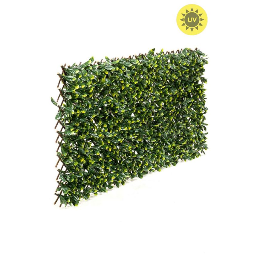Prunus hedge weather resistant/UV 135x120x9cm