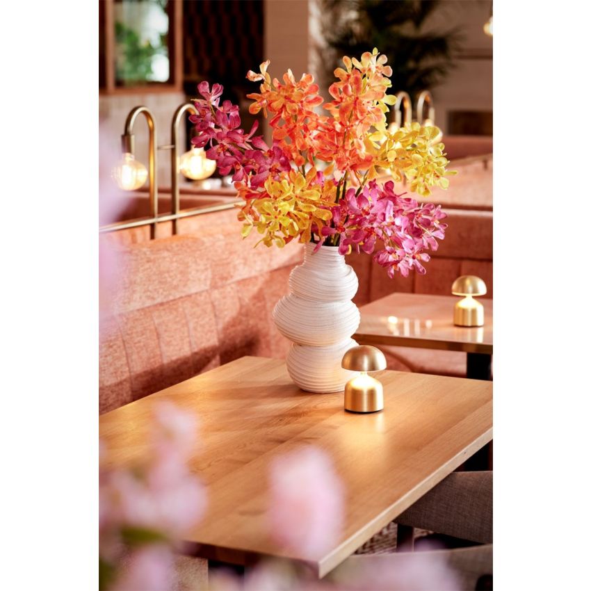 Vanda spray RT yellow 80cm