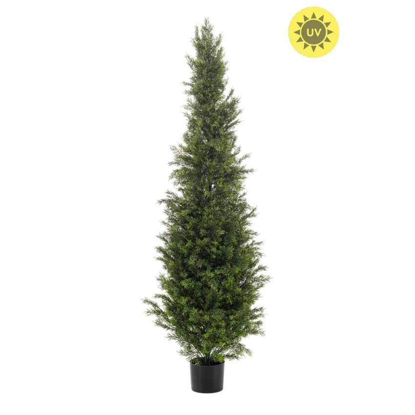 Cedar tree UV 150cm (knock down packing)