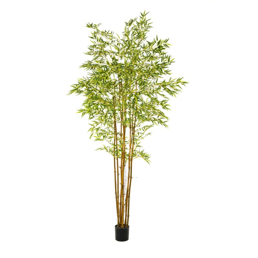 Bamboo japanese x9 240cm (knock down packing)