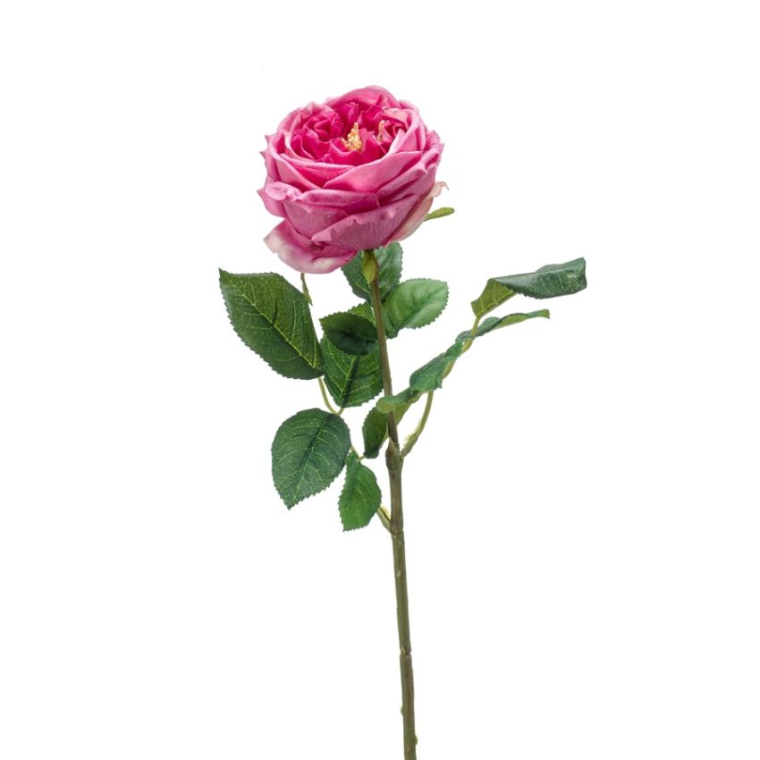Rose jenny spray RT old pink 60cm