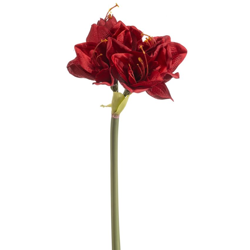 Amaryllis spray red 72cm