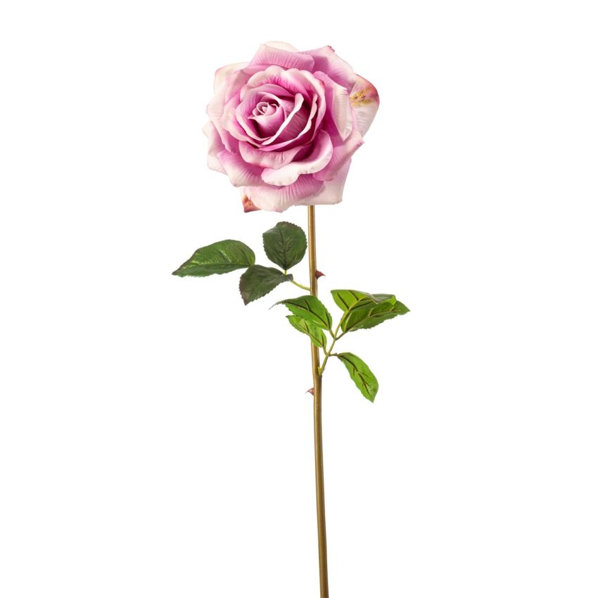 Rose chloe RT spray lt purple 68cm