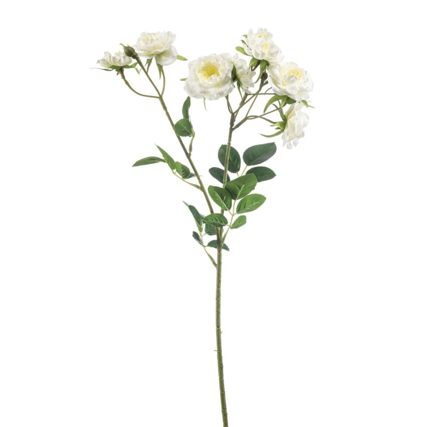 Rose mini spray cream 60cm