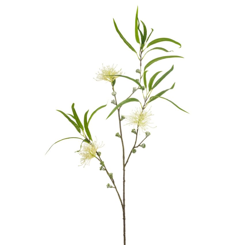 Eucalyptus w flower spray cream 95cm