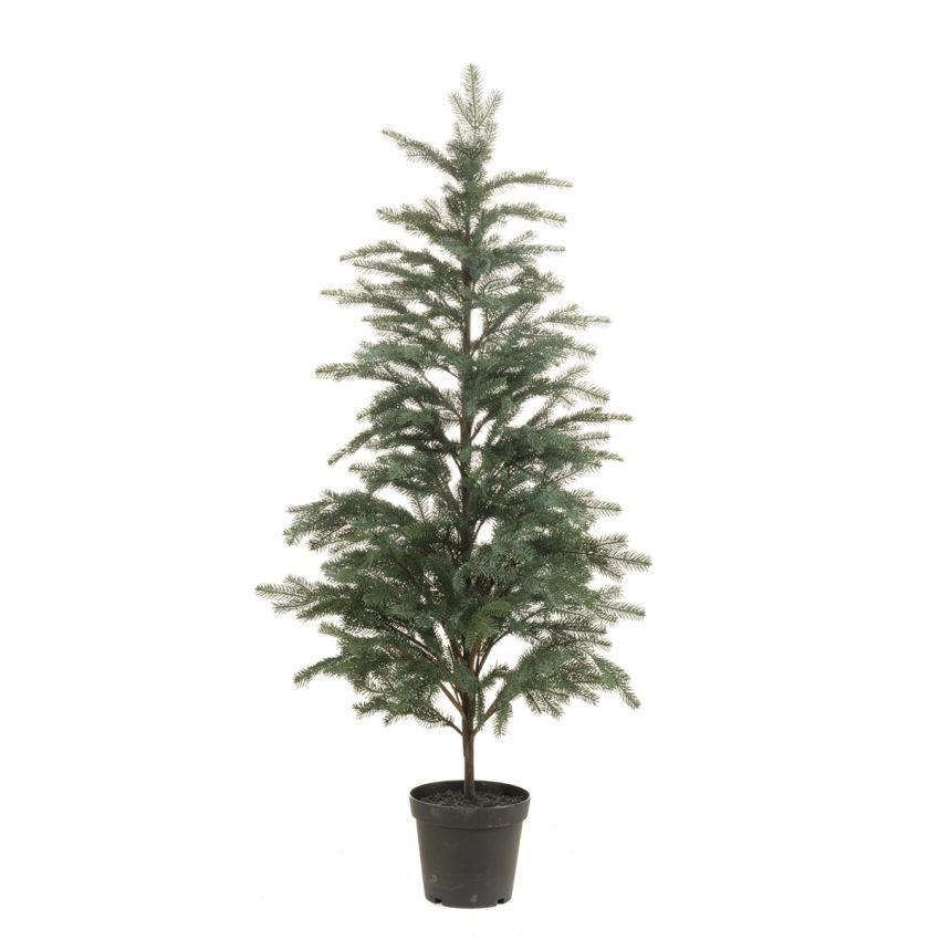 Picea tree in pot 150cm (knock down packing)