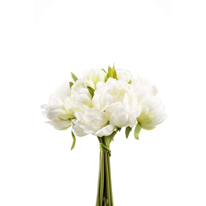 Peony bundle white/green 24cm