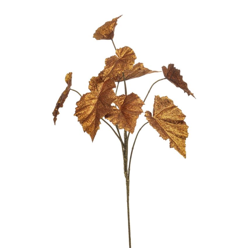 Begonia rex lvs spray copper flamed 82cm