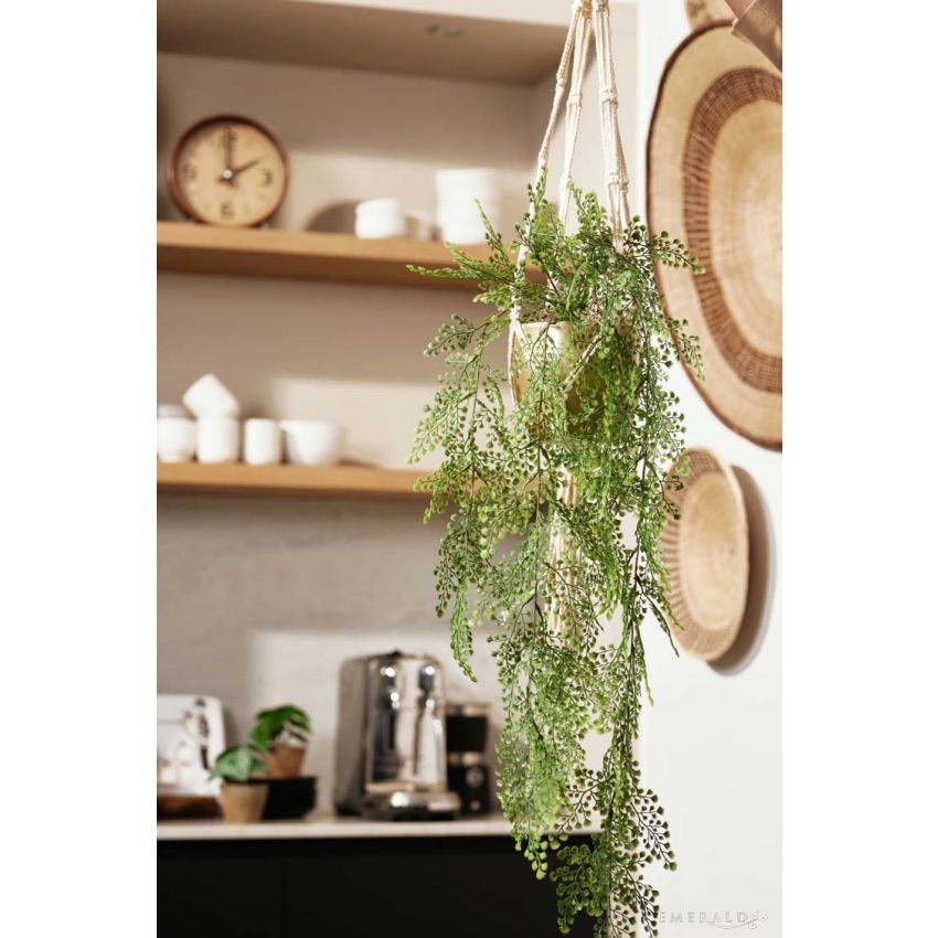 Adianthum hanging in pearlgold pot 130cm