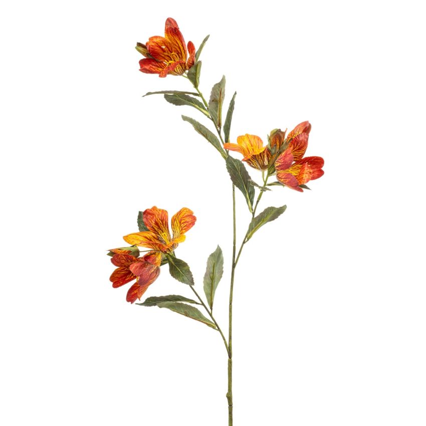 Bauhinia spray orange 90cm