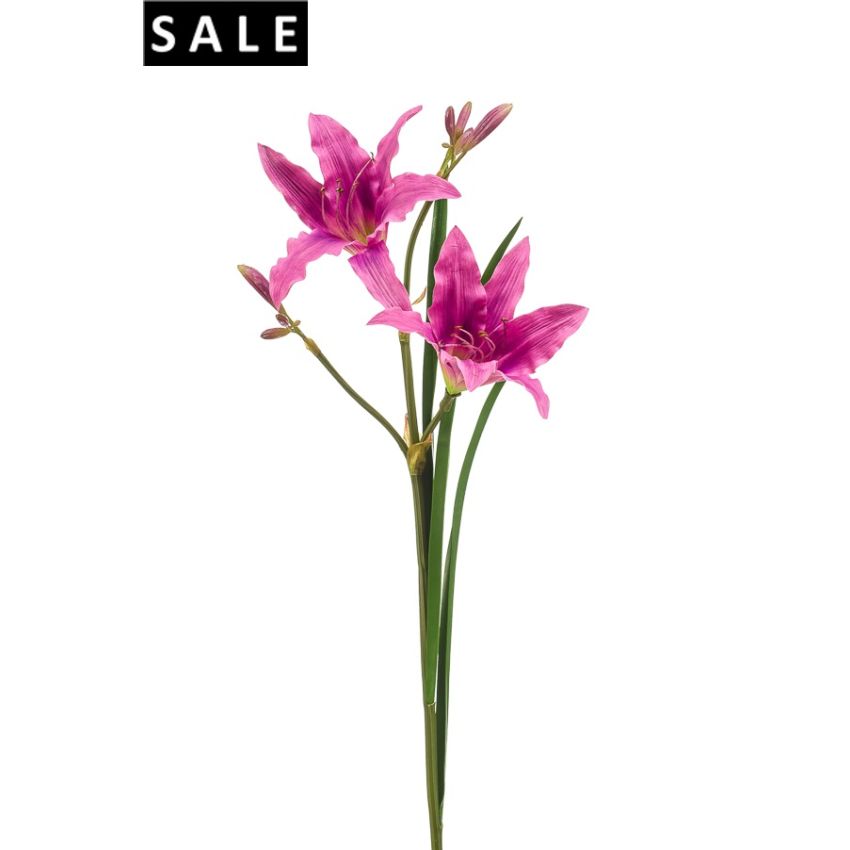 Hemerocallis spray lilac 74cm