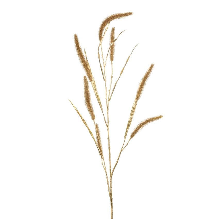Pennisetum grass spray gold 117cm
