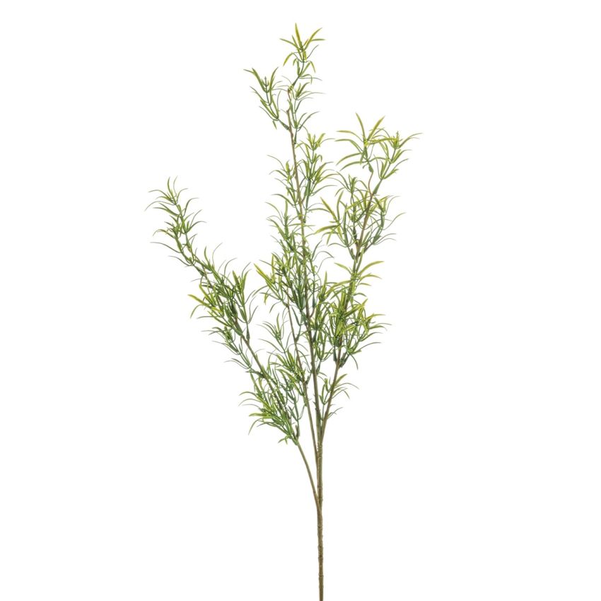 Asparagus spray green 80cm