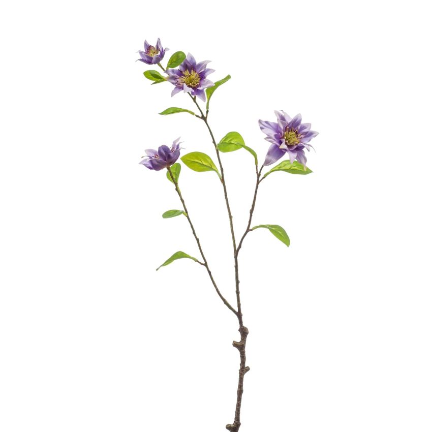 Clematis spray purple 75cm
