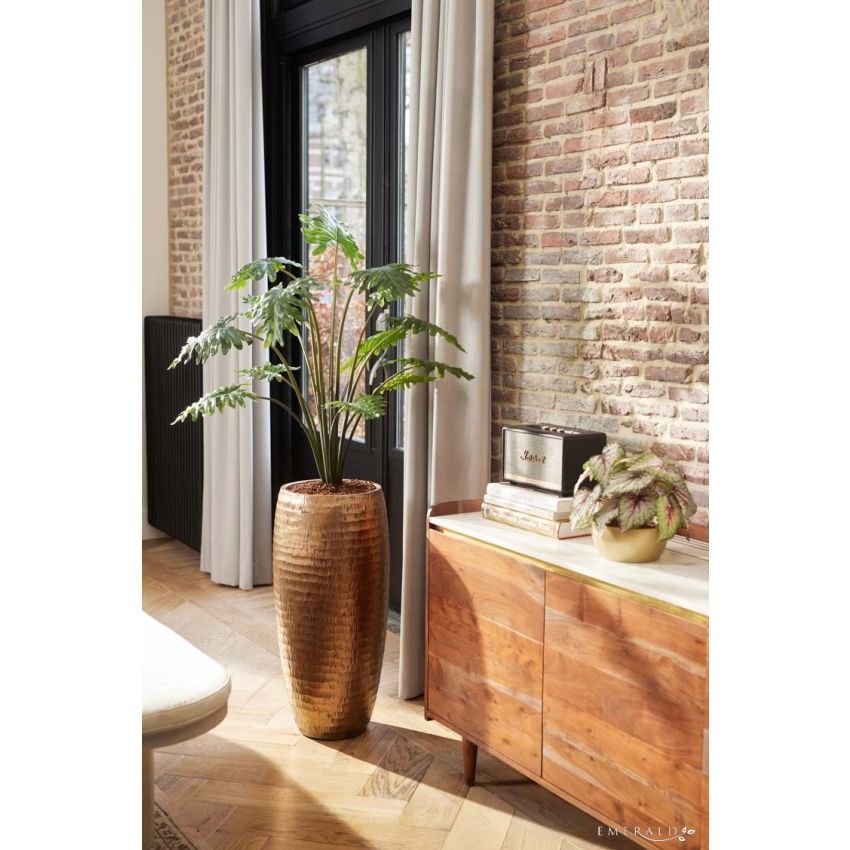 Philodendron in pot 95cm