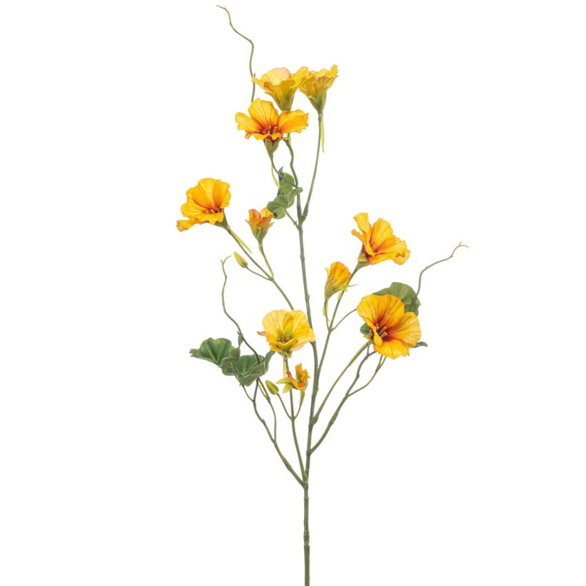 Nasturtium spray yellow 78cm