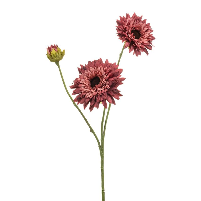 Helianthus spray mauve 70cm