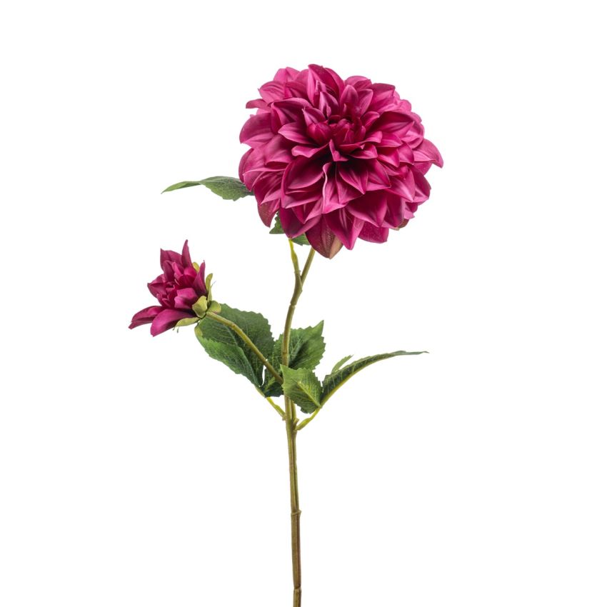 Dahlia w bud spray beauty 60cm