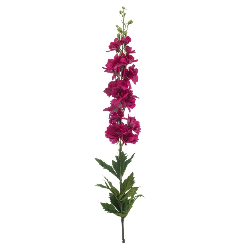 Delphinium spray RT fuchsia 90cm