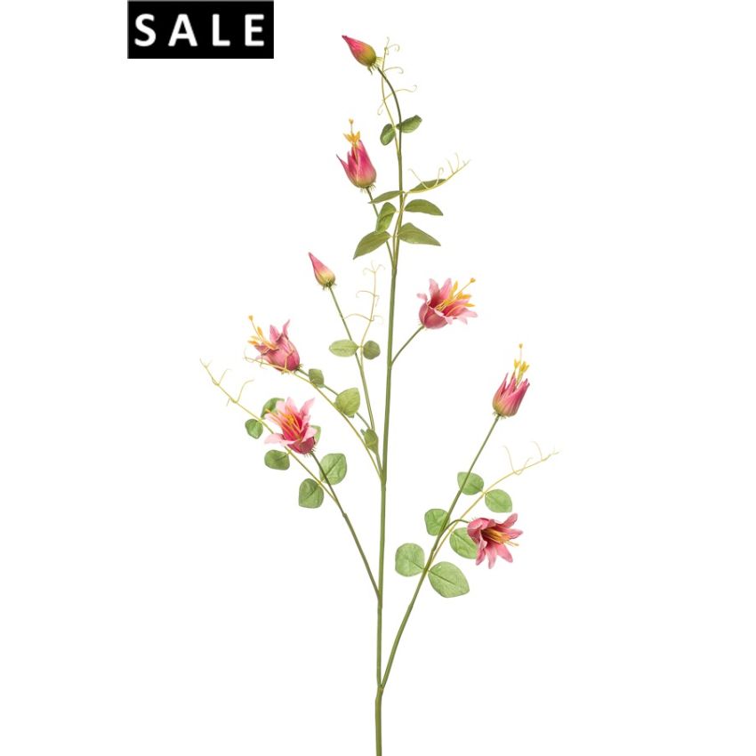 Clematis spray pink 115cm