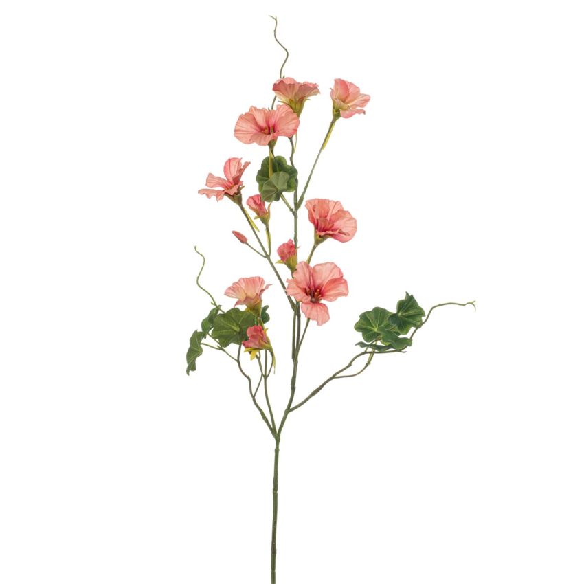 Nasturtium spray peach 78cm