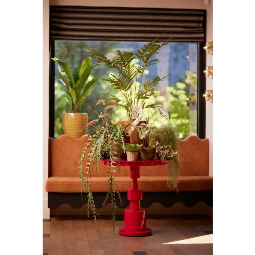 Epiphyllum hanging spray green 125cm