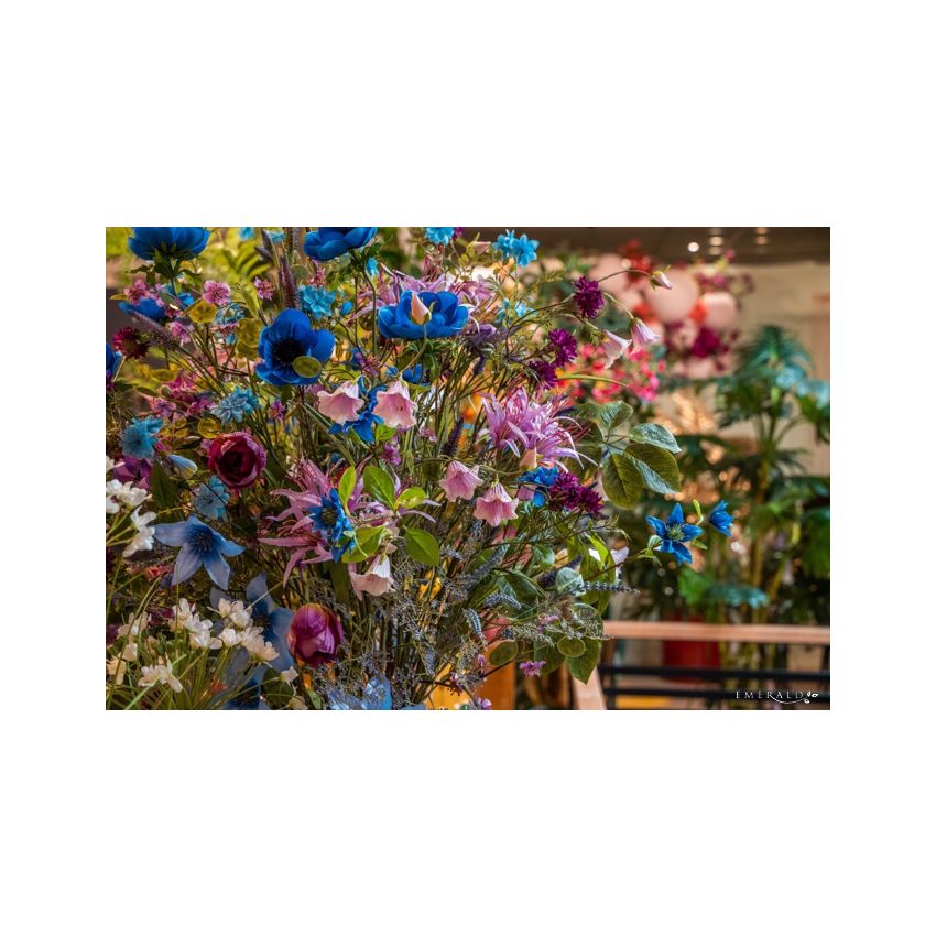 Nerine spray purple 72cm