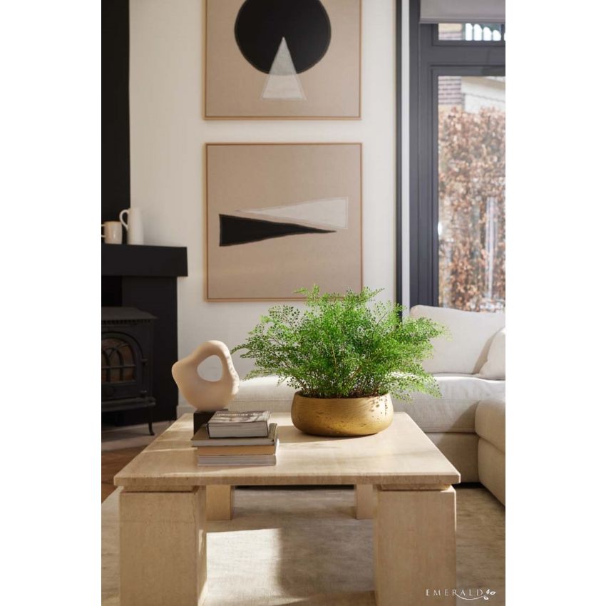 Fern adianthum bush 55cm