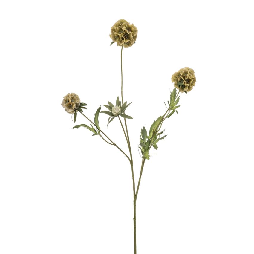 Scabiosa spray green 73cm