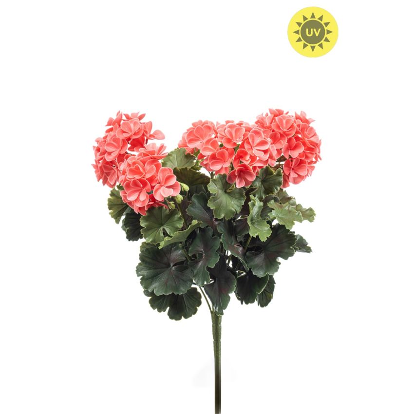 Geranium bush UV peach 41cm