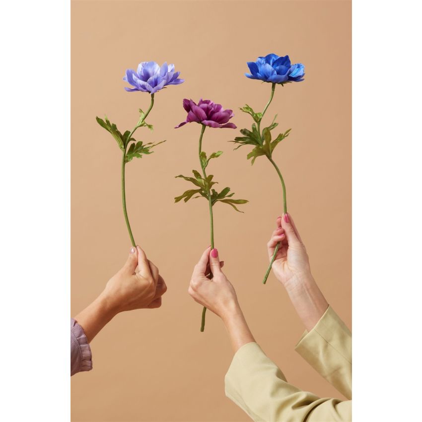 Anemone spray purple 45cm