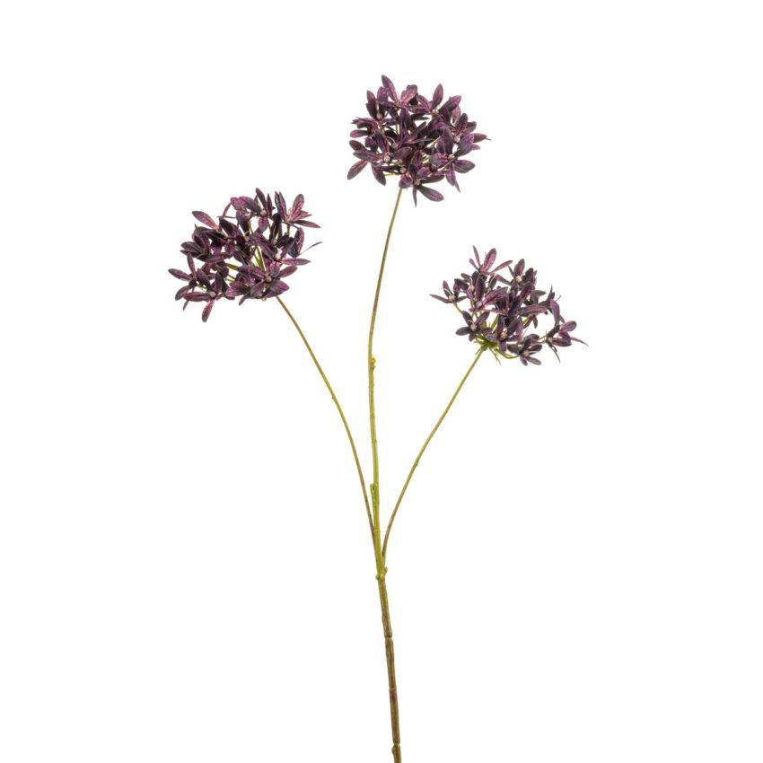 Agapanthus spray dk purple 72cm