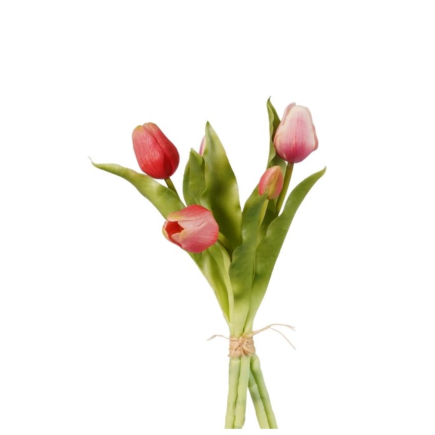 Tulip bundle x5 pink 30cm