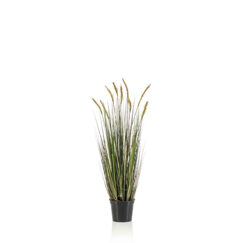 Grass foxtail 90cm