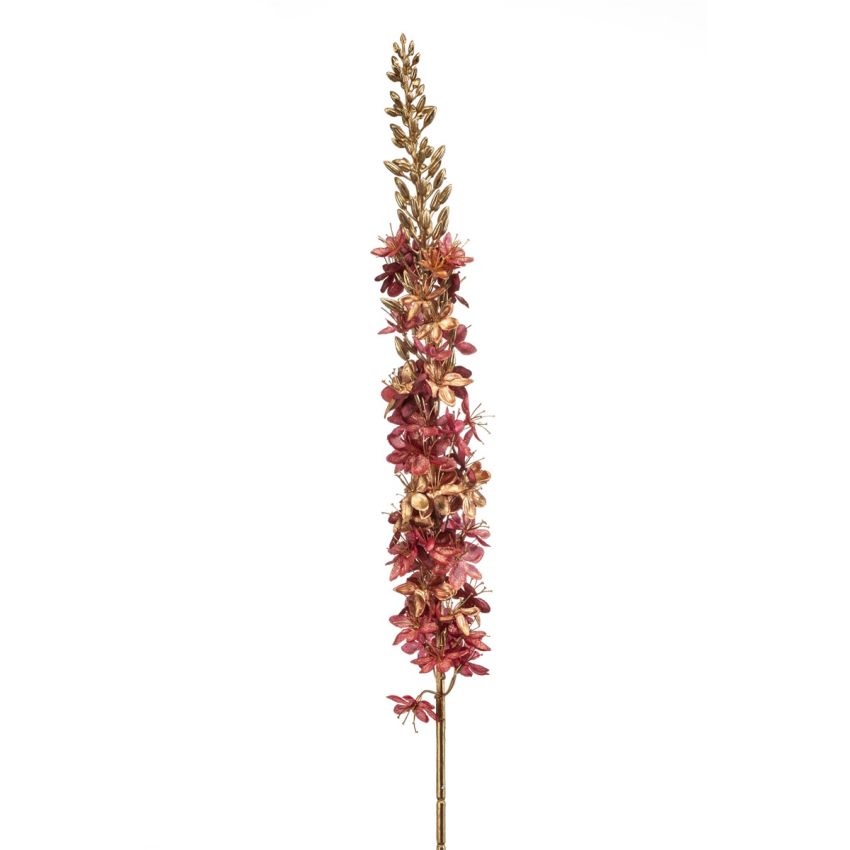 Eremurus spray mauve/gold 110cm