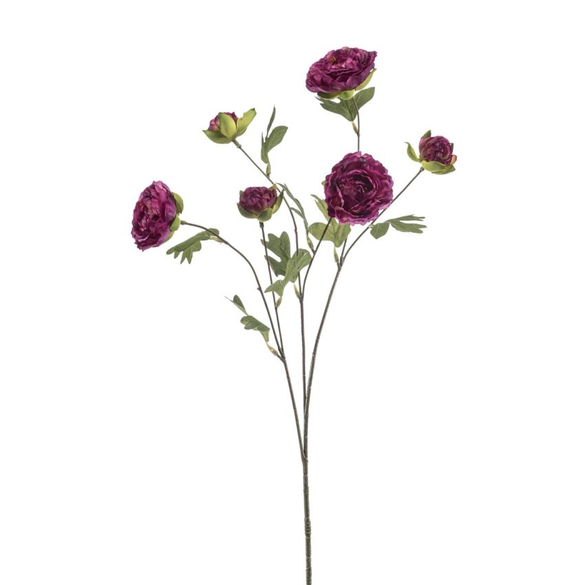 Ranunculus spray purple 78cm