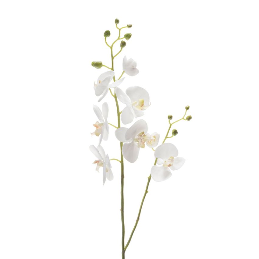 Phalaenopsis spray white 95cm