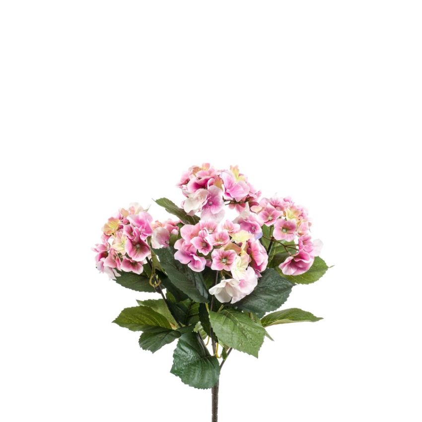 Hydrangea bush x5 40cm pink